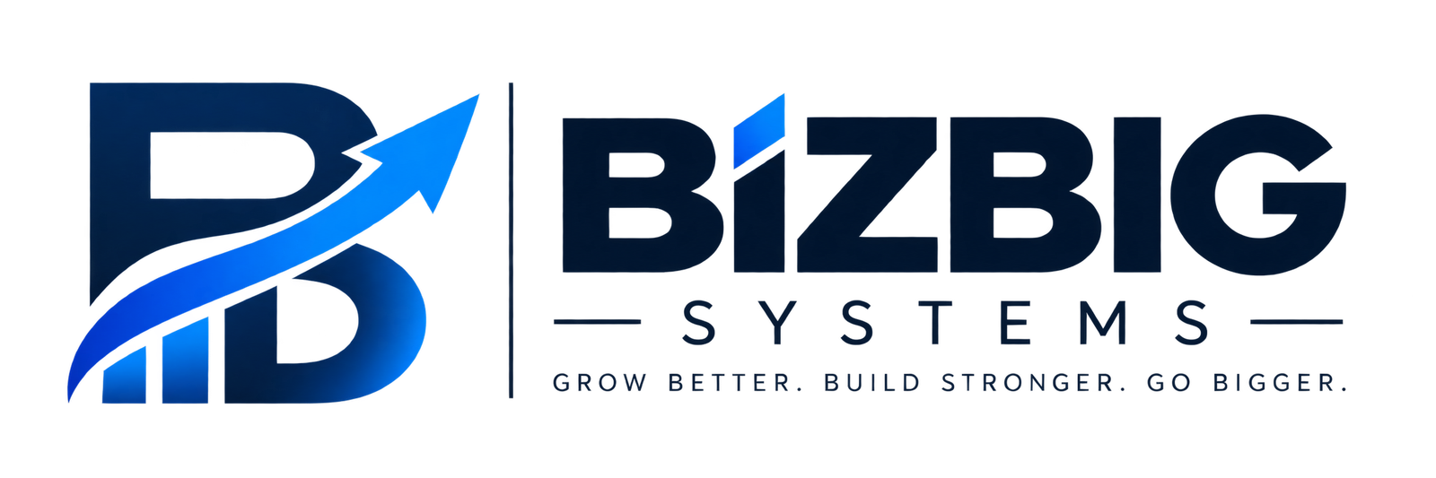 BIZBIG SYSTEMS